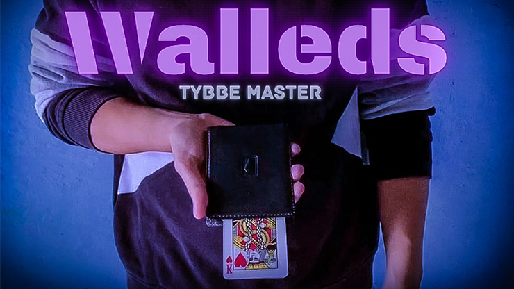 Walleds by Tybbe Master - Video Download